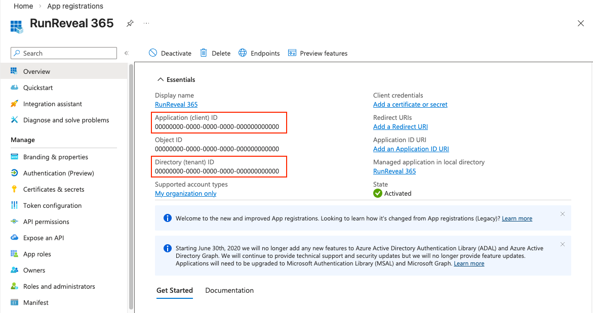 Application and Tenant IDs on the Overview page